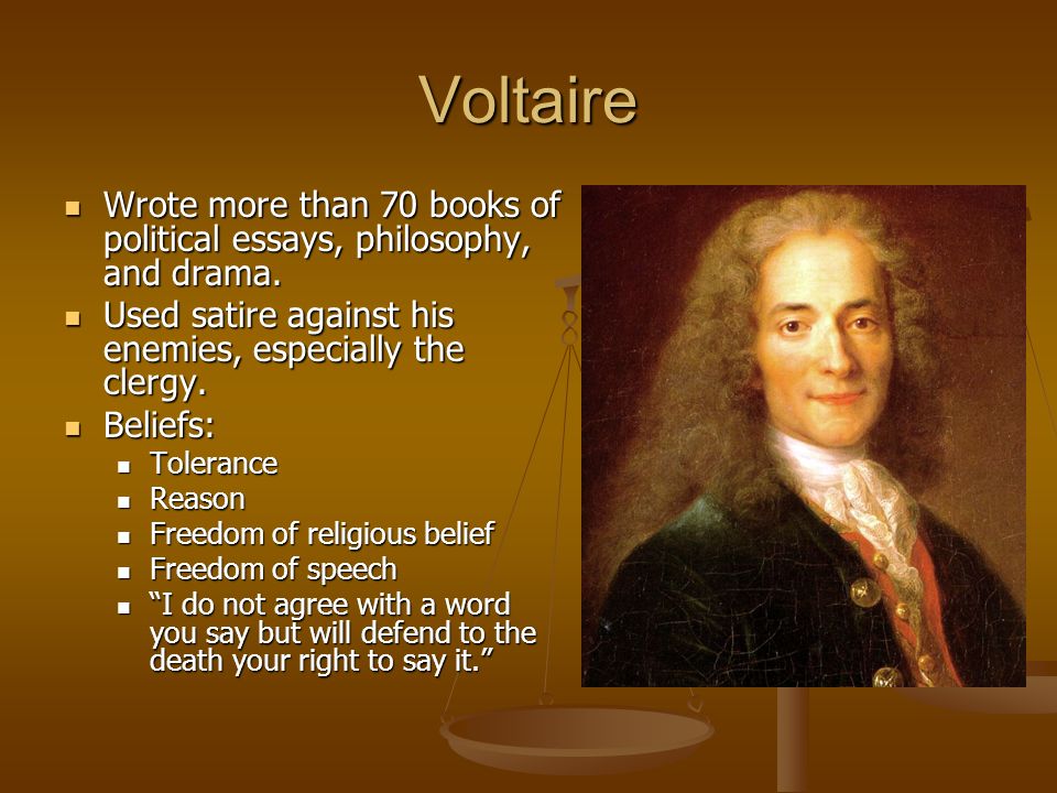 Voltaire essays online